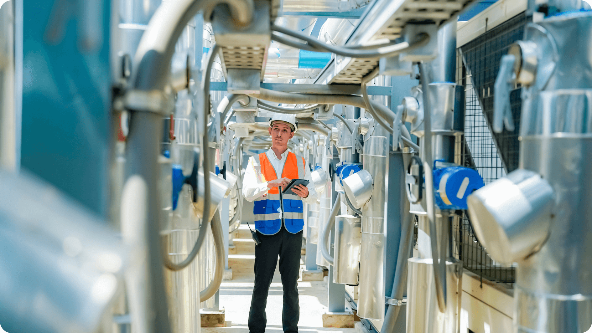 branchen/Angebot_PAM